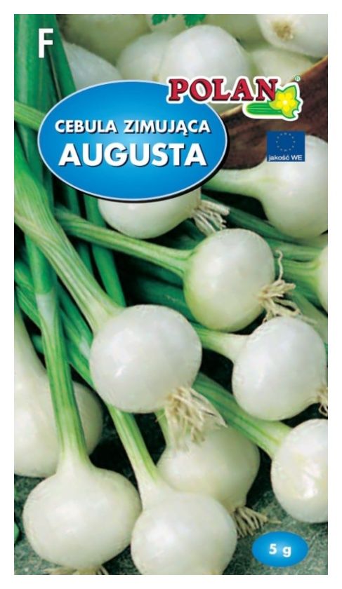 Cebula zimująca Augusta 5g Polan