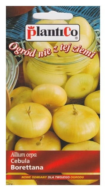 Cebula Borettana 2g PlantiCo