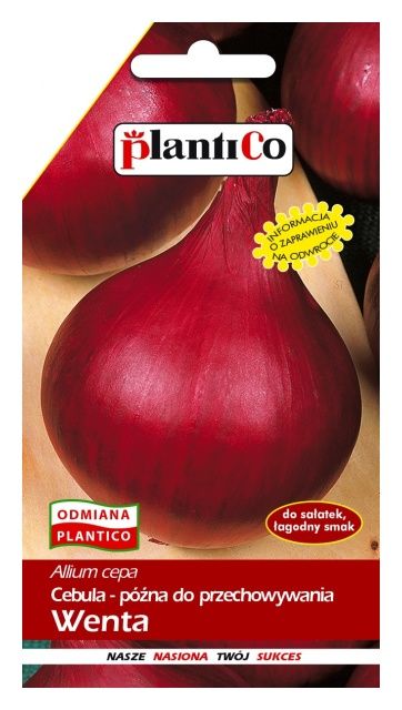 Cebula czerwona WENTA 6g PlantiCo