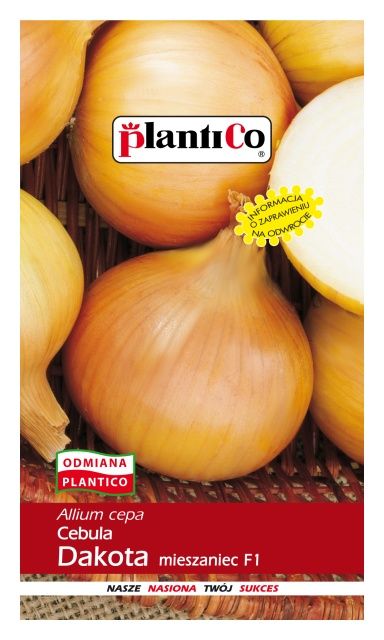 Cebula DAKOTA 5g PlantiCo
