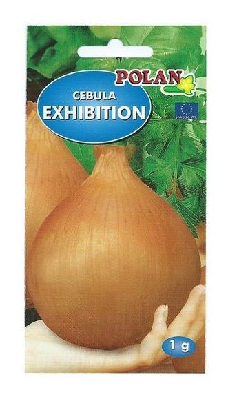 Cebula Exhibition 1g Polan