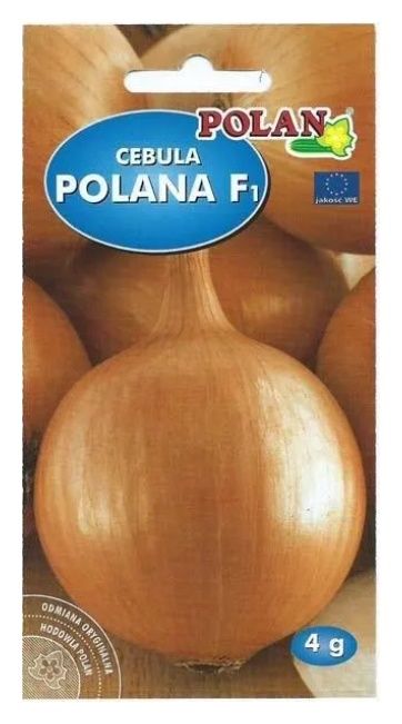 Cebula Polana F1 4g Polan 