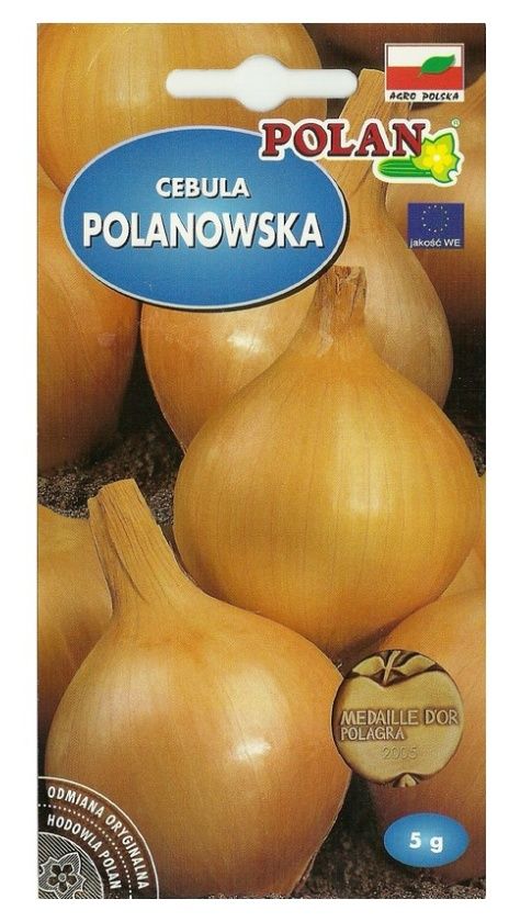 Cebula Polanowska 5g Polan