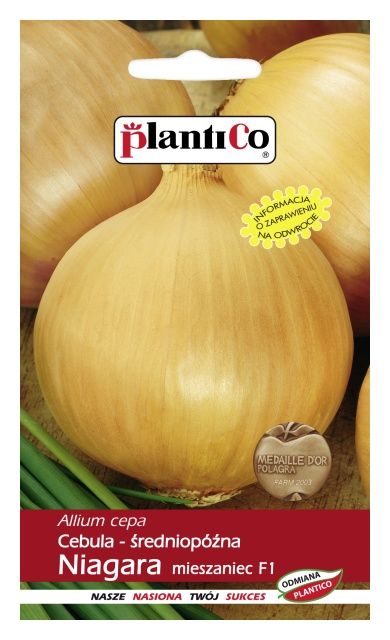 Cebula średniopóźna NIAGARA 5g PlantiCo