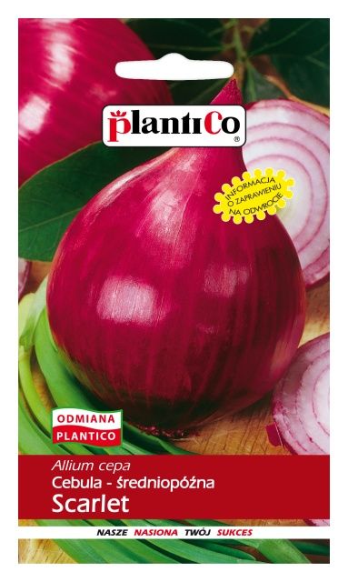 Cebula Scarlet 5g PlantiCO