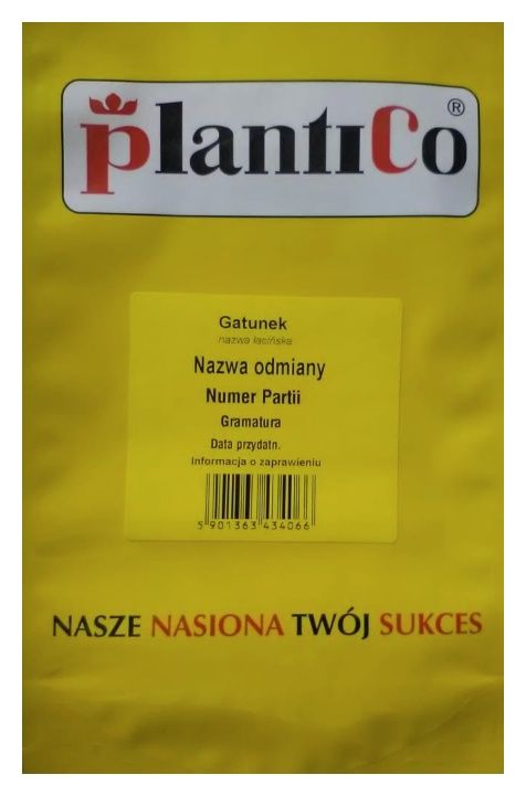 Cebula siedmiolatka Bajkał 100g Plantico