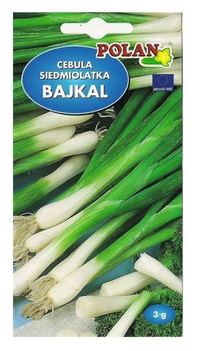 Cebula siedmiolatka Bajkał 3g Polan