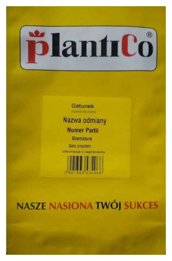 Cebula Wenta czerwona 500g Plantico