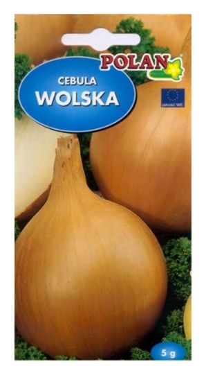 Cebula Wolska 5g Polan