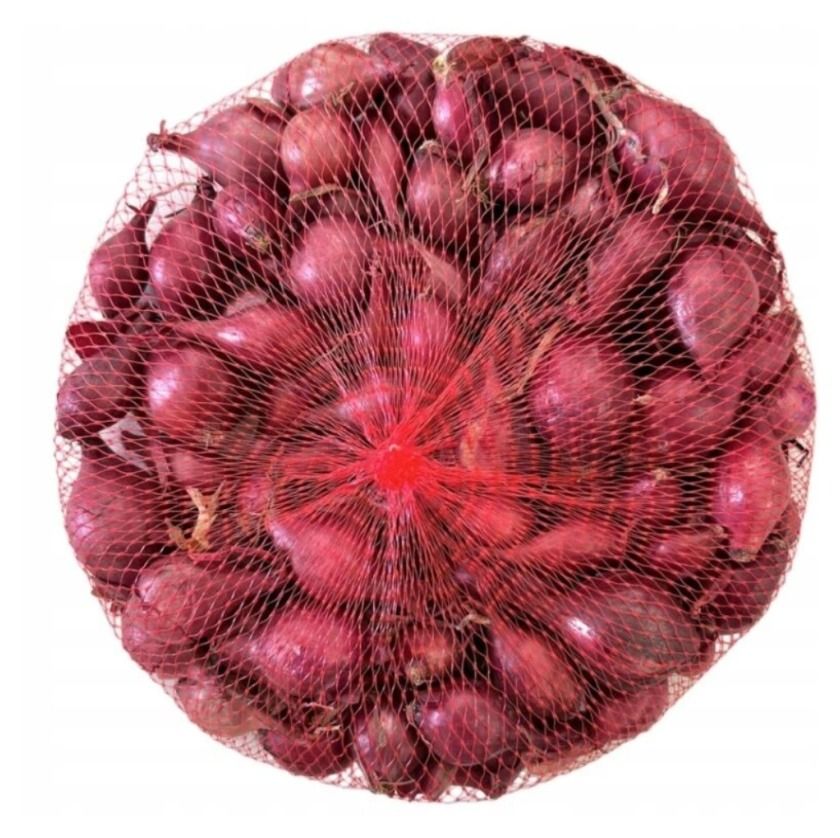 Cebula zimowa Electric