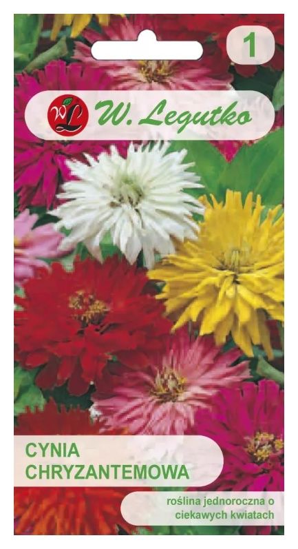 Cynia chryzantemowa 1g Legutko