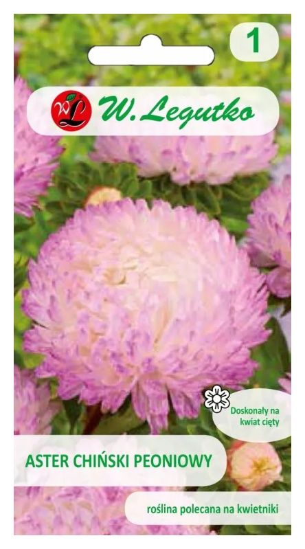 Aster chiński peoniowy biało-różowy 1g Legutko
