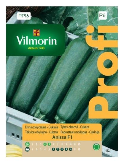 Cukinia Anissa F1 2g Vilmorin 