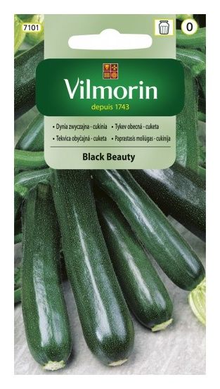 Dynia zwyczajna - cukinia Black Beauty 2g Vilmorin 