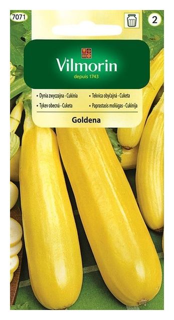 Cukinia Goldena 2g Vilmorin