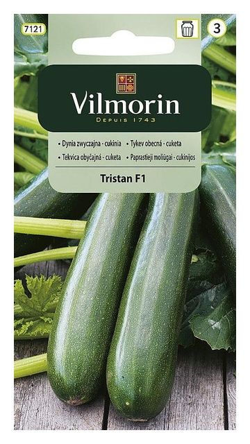 Cukinia zwyczajna Tristan F1 2g Vilmorin