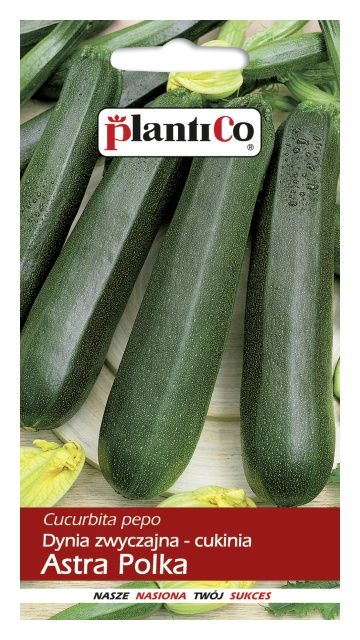 Cukinia Astra Polka 2g PlantiCo