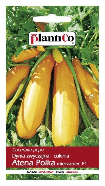 Cukinia Atena Polka 2g PlantiCo