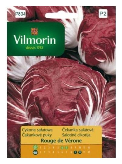 Cykoria sałatowa Rouge Verone 0,5g Vilmorin