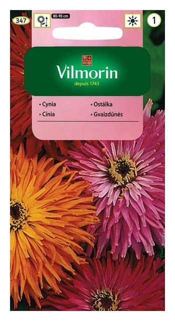 Cynia chryzantemowa 1g Vilmorin