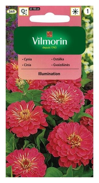 Cynia daliowa Illumination 1g Vilmorin