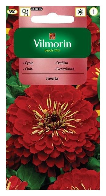 Cynia wytworna daliowa Jowita 1g Vilmorin
