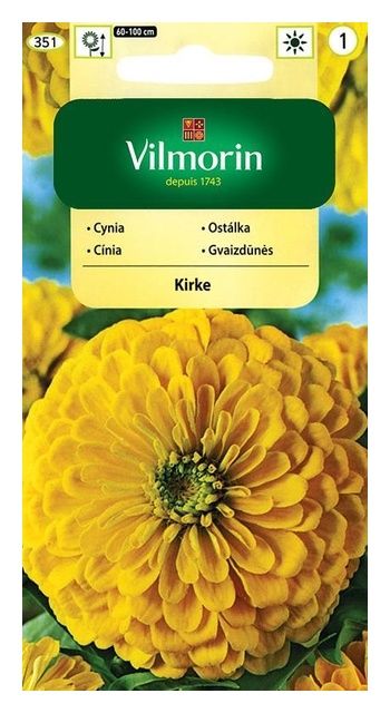 Cynia wytworna daliowa Kirke 1g Vilmorin