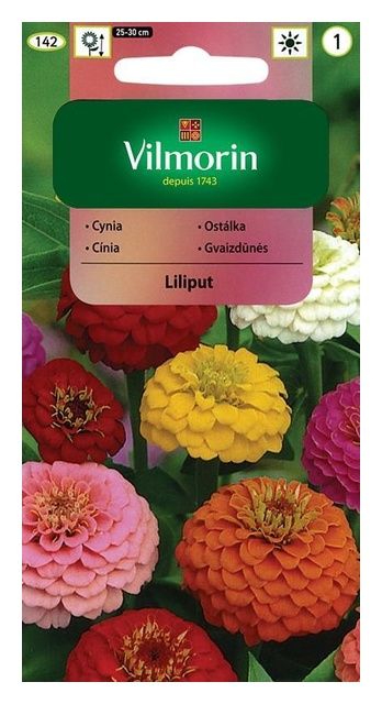 Cynia wytworna daliowa Liliput 1g Vilmorin