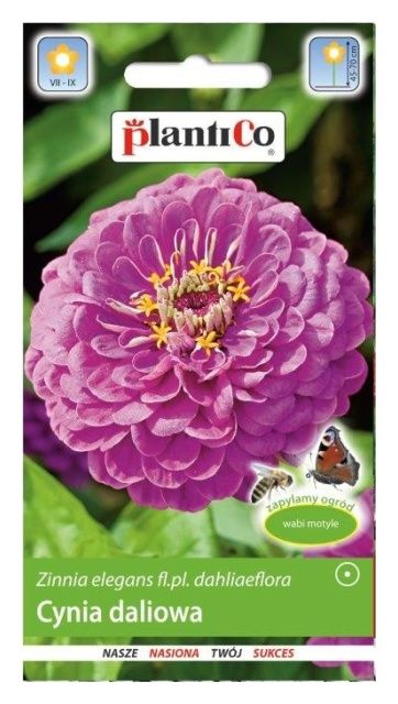 Cynia daliowa Lawendowa 1g PlantiCo