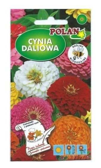 Cynia daliowa mix 1g Polan