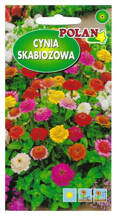 Cynia skabiozowa mix 1g Polan