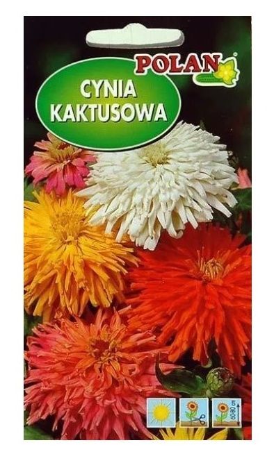 Cynia kaktusowa mix 1g Polan