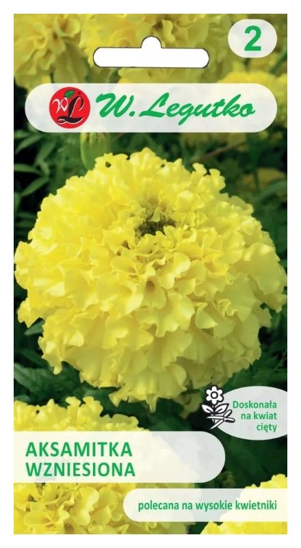 Aksamitka wzniesiona cytrynowożółta 1g Legutko