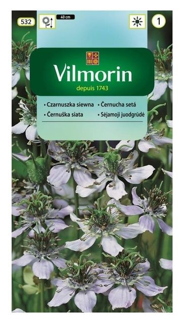 Czarnuszka siewna 1g Vilmorin