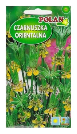 Czarnuszka orientalna 2g Polan