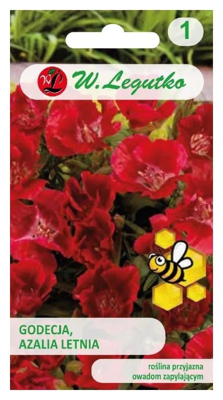 Godecja Azalia letnia czerwona 1g Legutko