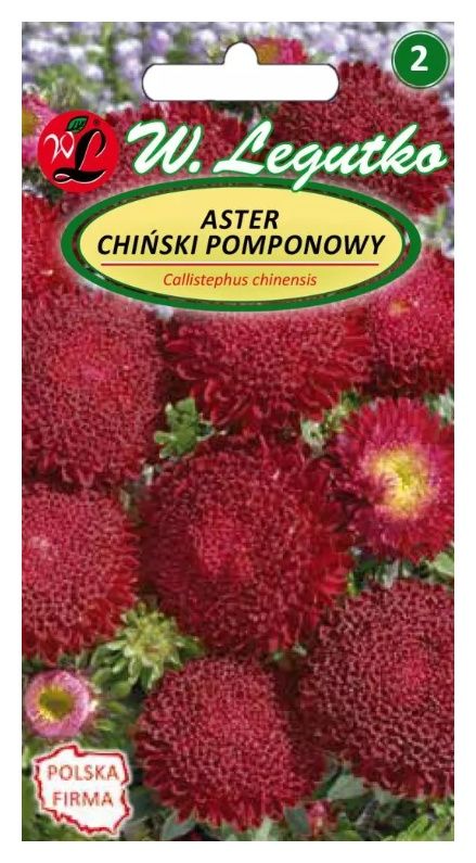 Aster chiński pomponowy czerwony mix 1g Legutko