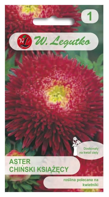 Aster chiński książęcy czerwony 1g Legutko
