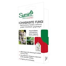 Chabasite Fungi 10g Sumin