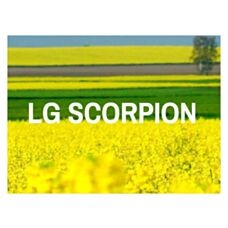 Rzepak ozimy Scorpion F1 C1 Lumiposa + Starcover Limagrain