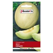 Melon OLIWIN 1g PlantiCo