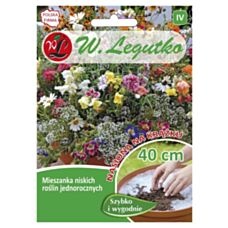 Mix niskich roślin jednorocznych krążek 1 sztuka Legutko