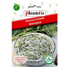 Nasiona na kiełki Gorczyca 20g PlantiCo