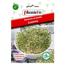 Nasiona na kiełki Lucerna 20g PlantiCo