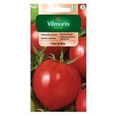 Pomidor Cuor di Bue "Bawole Serce" 0,2g Vilmorin