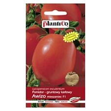 Pomidor gruntowy karłowy AWIZO 0,5g PlantiCo