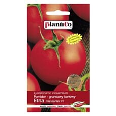 Pomidor gruntowy karłowy ETNA 0,5g PlantiCo