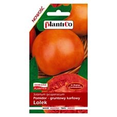 Pomidor gruntowy karłowy LOLEK 0,5g PlantiCo