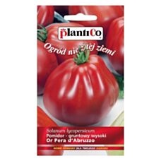 Pomidor gruntowy wysoki OR PERA D'ABRUZZO 0,2g PlantiCo