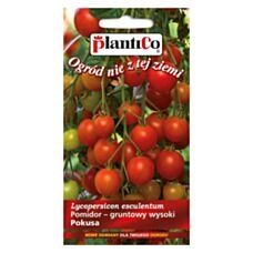 Pomidor gruntowy wysoki POKUSA 0,5g PlantiCo